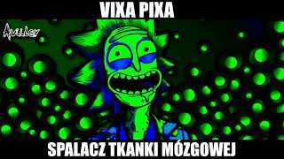 VIXA PIXA  SPALACZ TKANKI MÓZGOWEJ 🎵🔥 [upl. by Ayotahs]