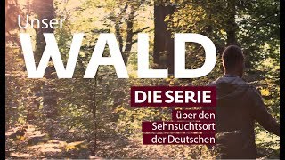 Unser Wald  Die ZeitungsSerie über den Sehnsuchtsort der Deutschen [upl. by Denten308]