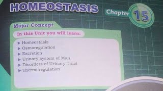 Kidney stone  Causes  Treatment XII Biology chap1 homeostasis part6 mdcattest [upl. by Atinomar]