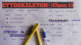 CytoskeletonClass 11Chapter 4Easy lectures by zaib [upl. by Leone82]