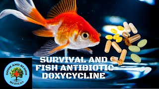 Antibiotic Doxycycline [upl. by Ojadnama]