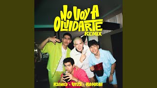 NO VOY A OLVIDARTE Remix [upl. by Lihka533]