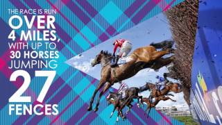 Bluffers Guide  Scottish Grand National [upl. by Nylime594]