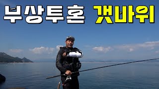 갯바위에서 부상투혼 을 불태우고왔습니다 [upl. by Cassidy]