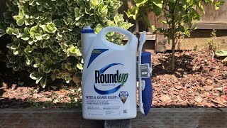 Review Roundup weed and grass killer [upl. by Tema210]