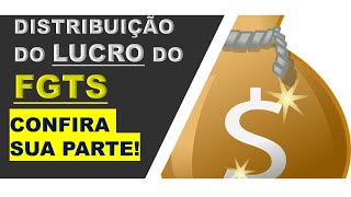 COMO CONSULTAR A SUA PARTE NA DISTRIBUIÇÃO DOS LUCROS DO FGTS [upl. by Aldus468]