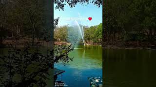 Bannerghatta karnataka shortvideo travel park bangalorecity viralvideos video instagram [upl. by Aihsitan]