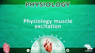 L3 Muscle excitation contraction coupling Physiology [upl. by Rosenkrantz]