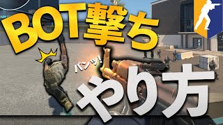 【解説】BOT撃ちのやり方について解説！！【CS2】 [upl. by Eelyram630]