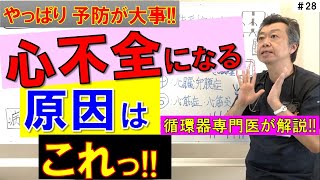 【循環器専門医が解説】なぜ心不全になるの 原因のほとんどは動脈硬化 [upl. by Traver]