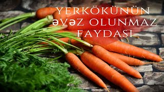 Yerkökünün möcüzəvi faydaları  Xalq təbabəti [upl. by Alvan544]