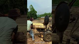 WoodWorkshop industrialwoodprocessing woodworkingwoodcutting shorts [upl. by Enelia]