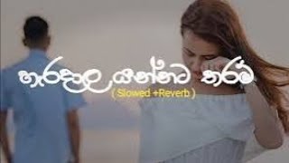 haradala yannata tharam 😩🥀💔 හැරදාලා යන්නට තරම් slowedandreverb [upl. by Gassman337]