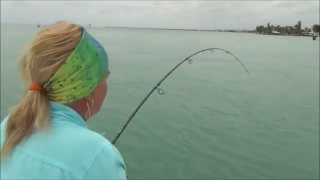 Huge Barracuda caught on light tackle [upl. by Llenrub]