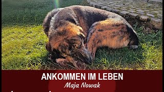 ANKOMMEN  Eine neue Reihe über das Leben  Teil 2  von Maja Nowak [upl. by Ahsilram]