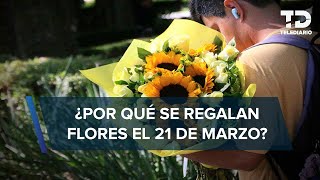 ¿Por qué se regalan FLORES AMARILLAS el 21 de marzo Este es el significado [upl. by Akirdnas]