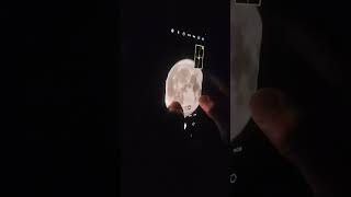 Sturgeon Moon sturgeonmoon viralvideos reels shorts finland juuka [upl. by Eaj]