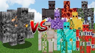 ORE GOLEM vs ALL GOLEMS  Minecraft Mob BATTLE [upl. by Leeda646]