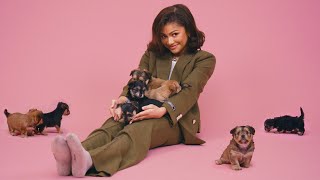 Zendaya The Puppy Interview [upl. by Eardnoed]