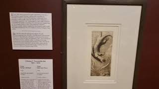 Charles Frederick Tunnicliffe exhibition walk through 28th August 2021 [upl. by Toddie]