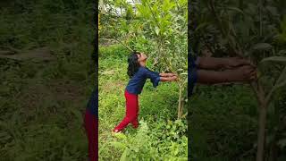 Athi Manoharam 🥰💓 funny comedyfilms dance tomandjerryandthemagicring [upl. by Aisercal]