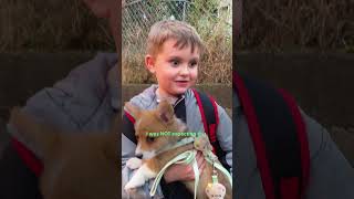 Dad Adopts A Corgi After His Son Writes Him A Letter  The Dodo [upl. by Arin133]