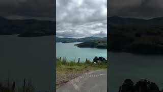 Kayaking and Solo Travelling Akaroa NZ 🇳🇿 solotravel travel nz nature water natgeo [upl. by Notterb]