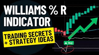 WILLIAMS  R Indicator  Trading Secrets  Top Strategy Ideas [upl. by Riem]