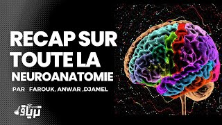 SEANCE 01 RECAP SUR TOUTE LA NEUROANATOMIE  PAR  FAROUK  ANWAR  DJAMEL [upl. by Eltsirc]