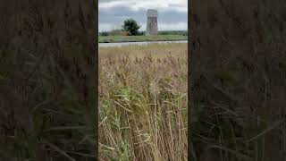 The Broads National Park England UK [upl. by Armillia493]