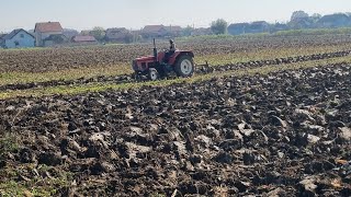 đźšśZetor 6211đźšśoranjeploughing [upl. by Gelb508]