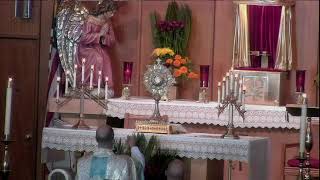 1100am Holy Hour Rosary Divine Mercy Chaplet and Benediction [upl. by Lazos927]