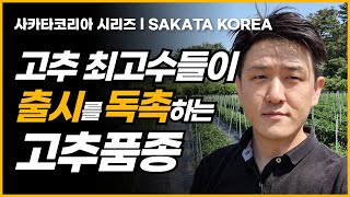 고수들이 아무리 독촉해도 내년엔 안 나오는 고추종자 [upl. by Ahseela]