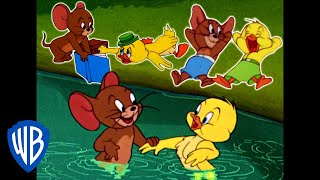 Tom amp Jerry  Best of Jerry and Little Quacker  Classic Cartoon Compilation  WB Kids [upl. by Beitris]