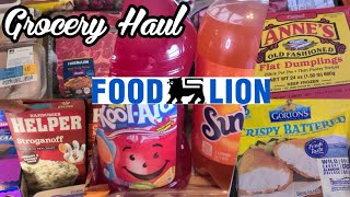 New Food Lion Grocery Haul  Plenty of Managers Specials [upl. by Adnulahs781]