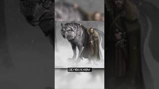 Why Robb Starks Direwolf Died Like A Champion In The Books 😢 [upl. by Eilyah]