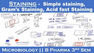 Staining techniques in microbiology  Simple staining  Gram s staining  Acid fast staining U2 [upl. by Ynnad498]