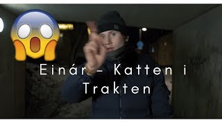 Einár  Katten i Trakten Official Music Video REACTION [upl. by Marigolda]