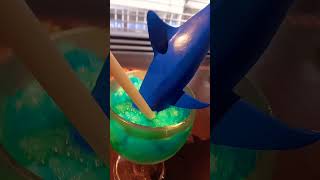 SharkDrink shortvideo [upl. by Manuel]