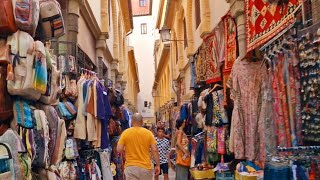 Alcaiceria The ancient Silk Market of Granada  EP13  Andalusia  Sights and Sounds [upl. by Martreb]