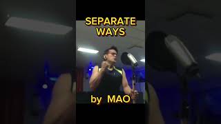 JOURNEY  SEPARATE WAYS cover by MAO [upl. by Derril609]