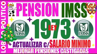 718💜PENSIÓN IMSS LEY 73 ❤️ méxico pension pensiones imss [upl. by Kcirtap]