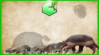 Armadillo Size Comparison Living Extinct [upl. by Nyssa]