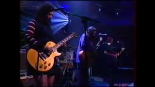 the breeders  cannonball  live  1993 [upl. by Nirehtac917]