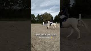 Quand tu as oublié de la remercier 🤣 cheval equitation fun drole beyonce trending [upl. by Phillipp507]