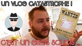 🦄 24   VLOG FAMILLE  POURQUOI CHLOE A FAIT CA [upl. by Poland]