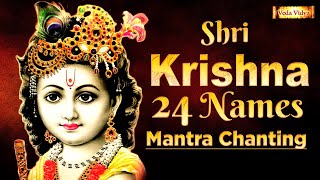 Powerful Krishna Mantras  Lord Krishna 24 Names  Chaturvinshati Namavali of Lord Krishna  Krishna [upl. by Hameerak]