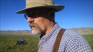 Sainfoin  an Alternative to GMO Alfalfa at Alderspring [upl. by Gamali]