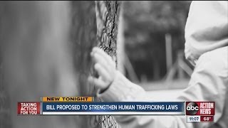 Proposed Florida legislation would strengthen humantrafficking law [upl. by Genvieve439]