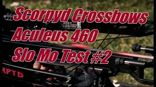 Scorpyd Crossbows Aculeus 460 fps High Speed Video Test 2 [upl. by Llevrac]